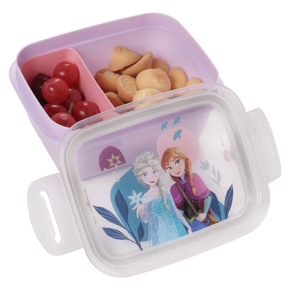 Pote Marmita Frozen Hermética com Divisór...